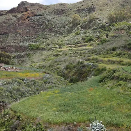 El Guanche Apartment *