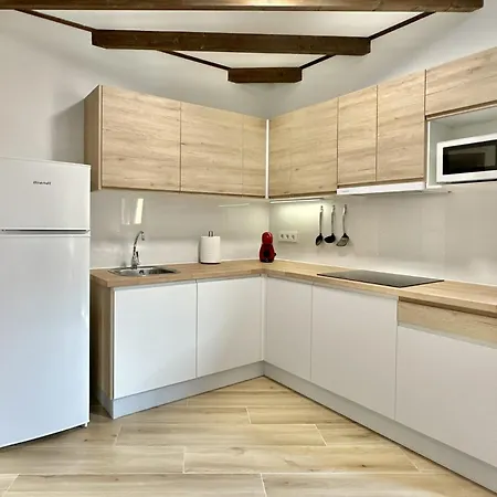 El Guanche Apartment *